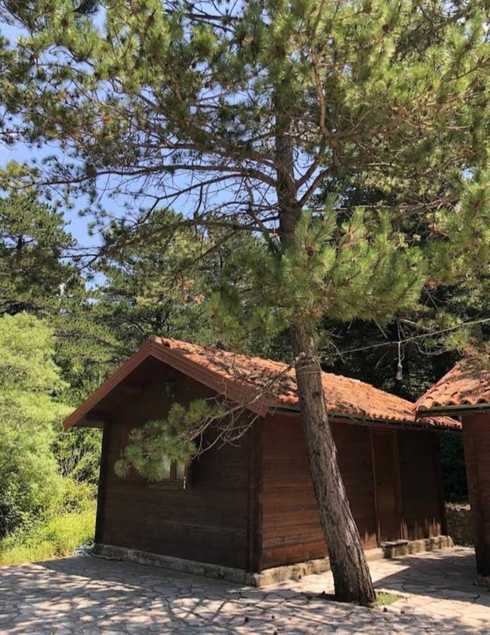 The Old Man'S Chalet Dukat Exterior photo